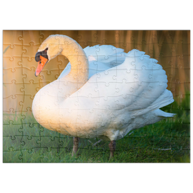Darstellung des Puzzle Motivs Schwan im Abendlicht - Puzzleteile: 100