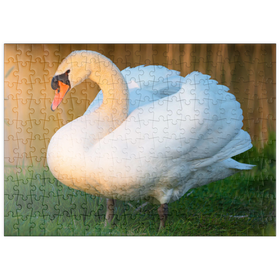 Darstellung des Puzzle-Motivs Schwan im Abendlicht – Puzzleteile: 200