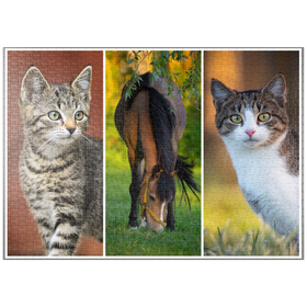 Darstellung des Puzzle-Motivs Cats&Horse Collage – Puzzleteile: 1000