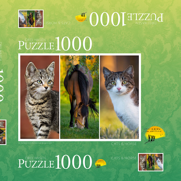 Cats&Horse Collage 1000 Puzzle Schachtel 3D Modell