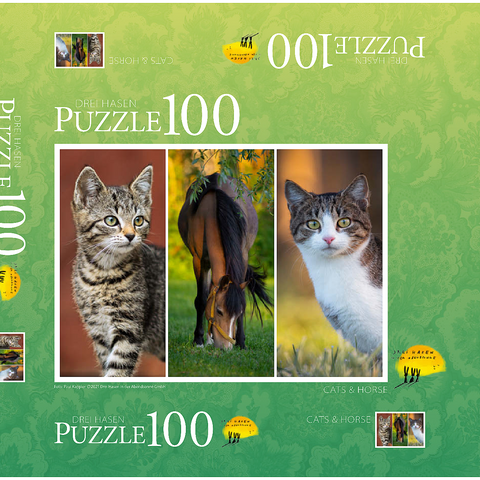 Cats&Horse Collage 100 Puzzle Schachtel 3D Modell