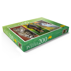Alternative Darstellung des Puzzle-Motivs Cats&Horse Collage – Puzzleteile: 200
