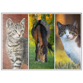 Darstellung des Puzzle-Motivs Cats&Horse Collage – Puzzleteile: 200