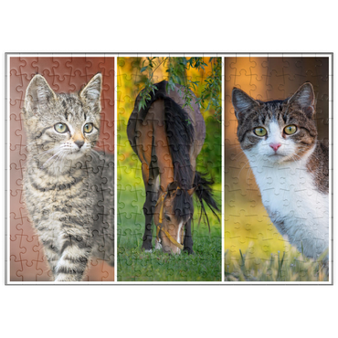 puzzleplate Cats&Horse Collage 200 Puzzle