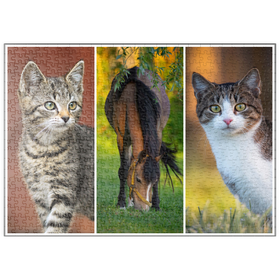 Darstellung des Puzzle-Motivs Cats&Horse Collage – Puzzleteile: 500
