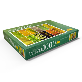 Alternative Darstellung des Puzzle-Motivs Herbst Blätter – Puzzleteile: 1000
