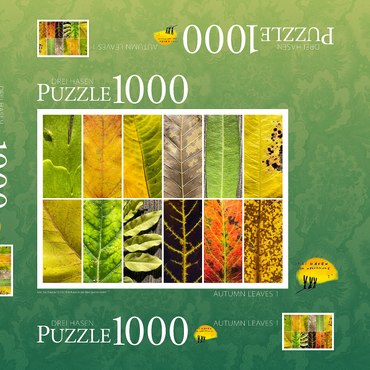 Autumn Leaves 1 1000 Puzzle Schachtel 3D Modell