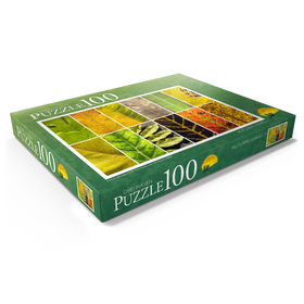 Darstellung des Puzzle Motivs Herbst Blätter - Puzzleteile: 100