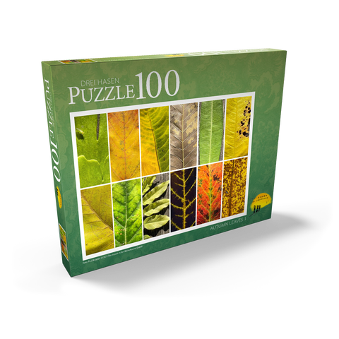 Autumn Leaves 1 100 Puzzle Schachtel Ansicht2