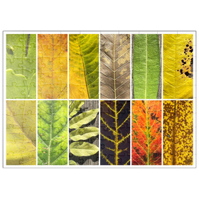 Darstellung des Puzzle Motivs Herbst Blätter - Puzzleteile: 100