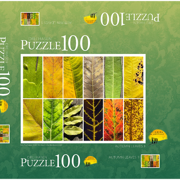 Autumn Leaves 1 100 Puzzle Schachtel 3D Modell