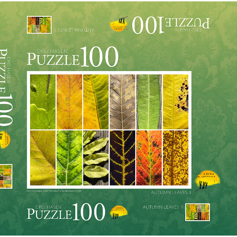 Autumn Leaves 1 100 Puzzle Schachtel 3D Modell