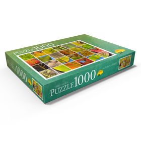 Alternative Darstellung des Puzzle-Motivs Autumn Leaves 2 – Puzzleteile: 1000