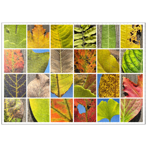 puzzleplate Autumn Leaves 2 1000 Puzzle