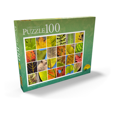 Autumn Leaves 2 100 Puzzle Schachtel Ansicht2