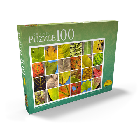 Autumn Leaves 2 100 Puzzle Schachtel Ansicht2