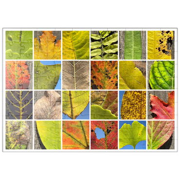 puzzleplate Autumn Leaves 2 100 Puzzle