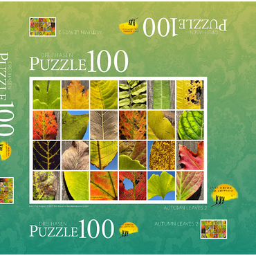 Autumn Leaves 2 100 Puzzle Schachtel 3D Modell