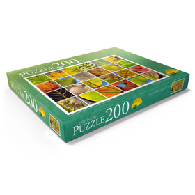 Alternative Darstellung des Puzzle-Motivs Autumn Leaves 2 – Puzzleteile: 200