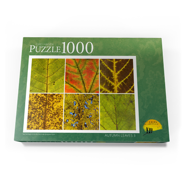 Autumn Leaves 3 1000 Puzzle Schachtel Ansicht3