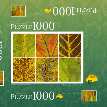 Autumn Leaves 3 1000 Puzzle Schachtel 3D Modell