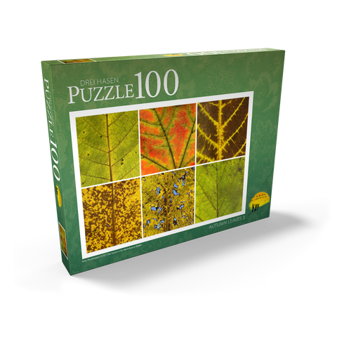 Autumn Leaves 3 100 Puzzle Schachtel Ansicht2