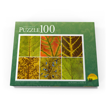 Autumn Leaves 3 100 Puzzle Schachtel Ansicht3