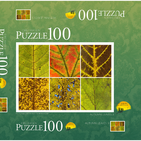 Autumn Leaves 3 100 Puzzle Schachtel 3D Modell