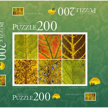 Autumn Leaves 3 200 Puzzle Schachtel 3D Modell
