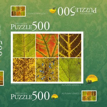 Autumn Leaves 3 500 Puzzle Schachtel 3D Modell