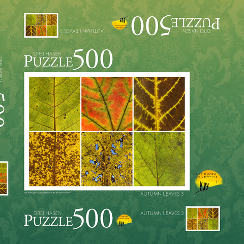 Autumn Leaves 3 500 Puzzle Schachtel 3D Modell