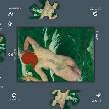 In the Waves (Dans les Vagues) (1889) by Paul Gauguin 1000 Puzzle Schachtel 3D Modell