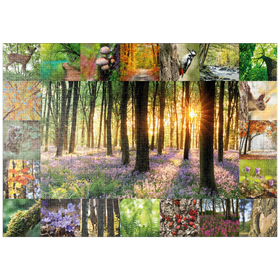 Darstellung des Puzzle-Motivs Waldbaden - Collage No. 1 – Puzzleteile: 1000