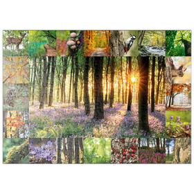 Darstellung des Puzzle-Motivs Waldbaden - Collage No. 1 – Puzzleteile: 200