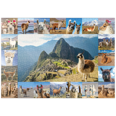 puzzleplate Lamas und Alpakas - Collage No. 1 1000 Puzzle