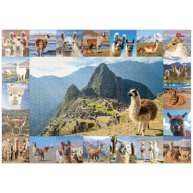 Darstellung des Puzzle Motivs Lamas und Alpakas - Collage No. 1 - Puzzleteile: 1000
