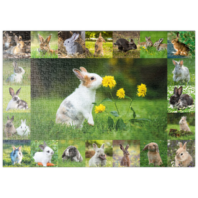 Darstellung des Puzzle-Motivs Bunnies & Flowers - Collage No. 1 – Puzzleteile: 500
