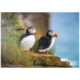 Darstellung des Puzzle-Motivs Bedrohte Tierarten - Papageitaucher – Puzzleteile: 1000