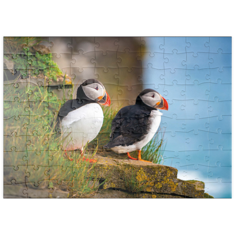 puzzleplate Bedrohte Tierarten - Papageitaucher 100 Puzzle