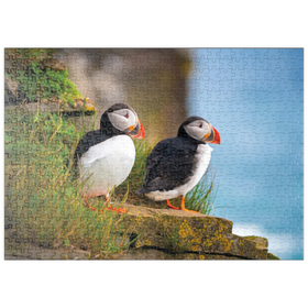Darstellung des Puzzle-Motivs Bedrohte Tierarten - Papageitaucher – Puzzleteile: 500