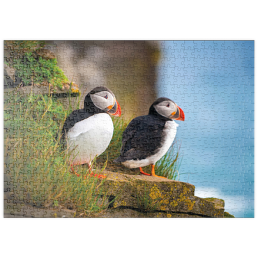 puzzleplate Bedrohte Tierarten - Papageitaucher 500 Puzzle