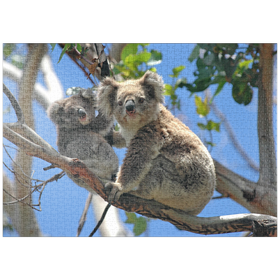Darstellung des Puzzle-Motivs Bedrohte Tierarten - Koalas – Puzzleteile: 1000