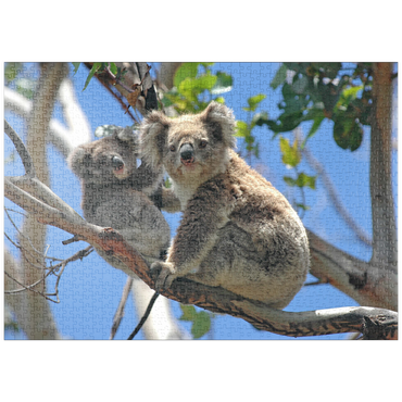 puzzleplate Bedrohte Tierarten - Koalas 1000 Puzzle