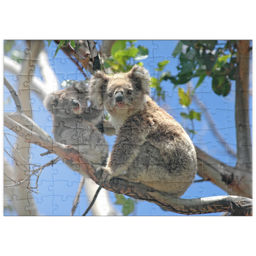 puzzleplate Bedrohte Tierarten - Koalas 100 Puzzle