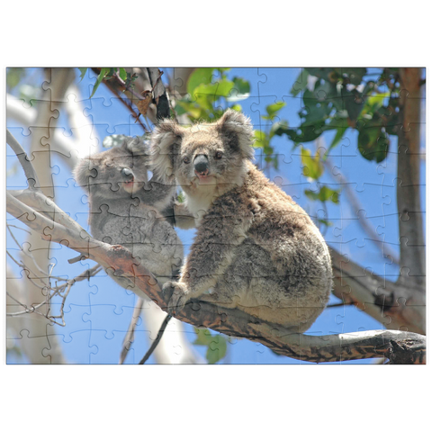 puzzleplate Bedrohte Tierarten - Koalas 100 Puzzle