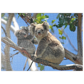 Darstellung des Puzzle-Motivs Bedrohte Tierarten - Koalas – Puzzleteile: 500