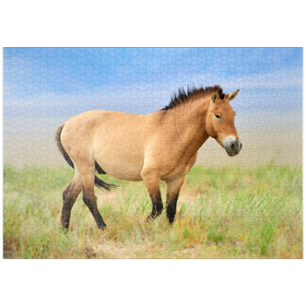 Darstellung des Puzzle-Motivs Bedrohte Tierarten - Przewalski-Pferd – Puzzleteile: 1000