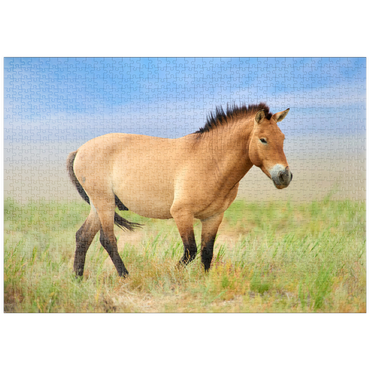 puzzleplate Bedrohte Tierarten - Przewalski-Pferd 1000 Puzzle