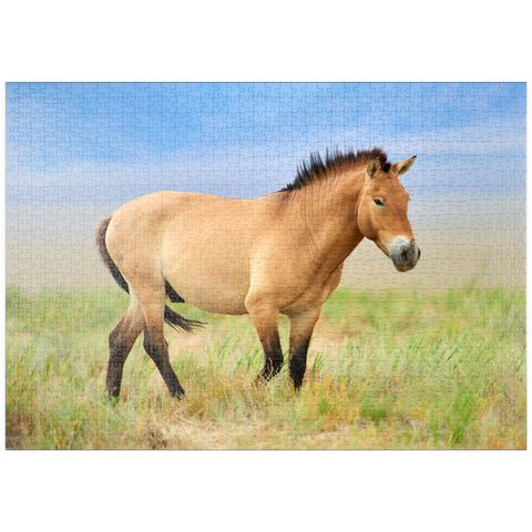 puzzleplate Bedrohte Tierarten - Przewalski-Pferd 1000 Puzzle