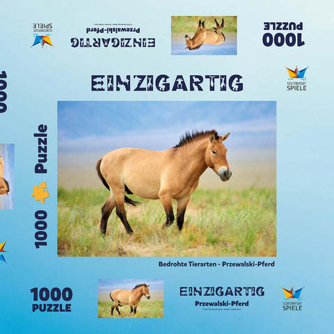 Bedrohte Tierarten - Przewalski-Pferd 1000 Puzzle Schachtel 3D Modell